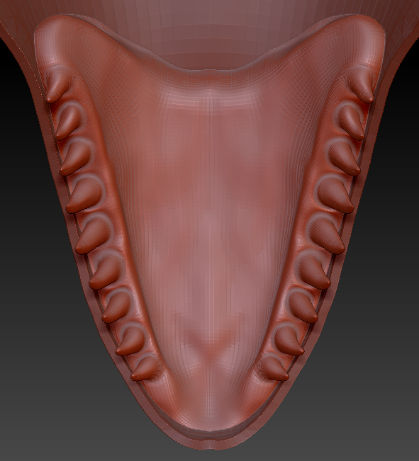 Large Orca Jawset