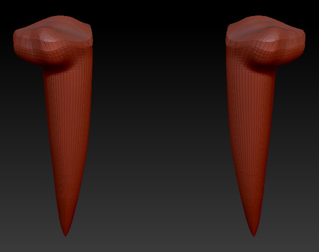 Large Saber Teeth
