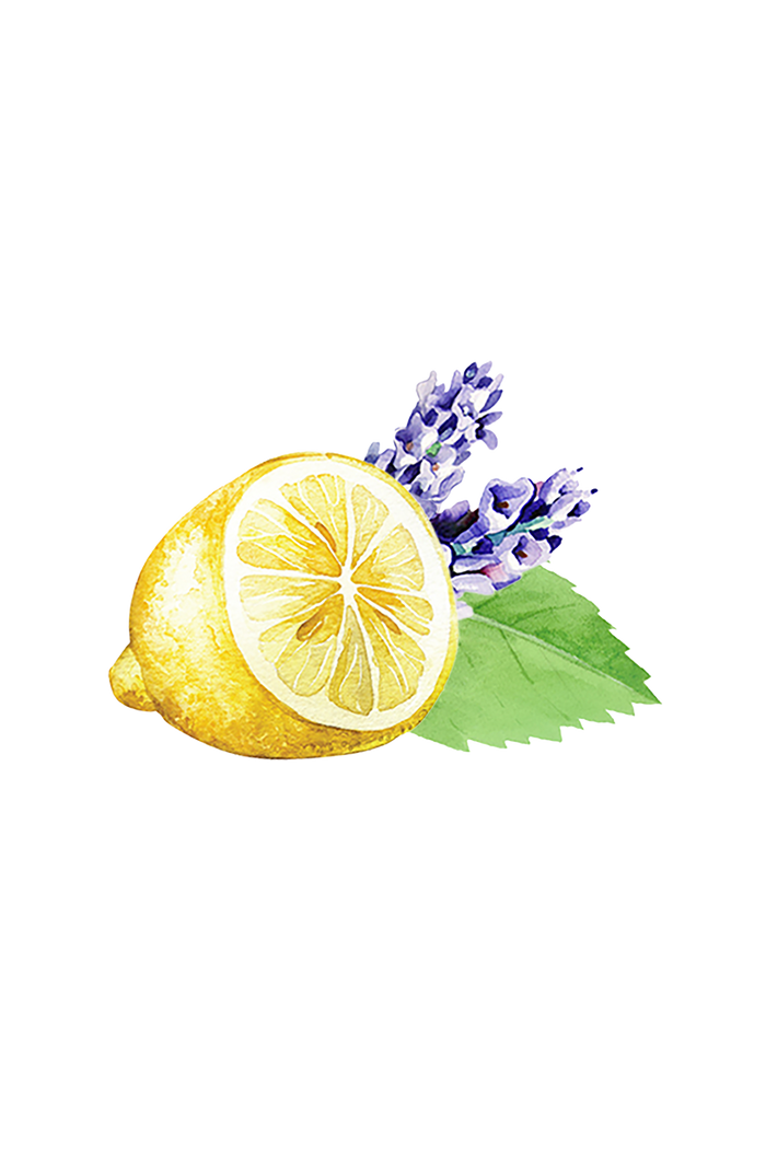 Rustic Strength botanical watercolor image of half of a lemon in front of 2 sprigs of lavender with a peppermint leaf, representing Lemon, Lavender & Mint scent