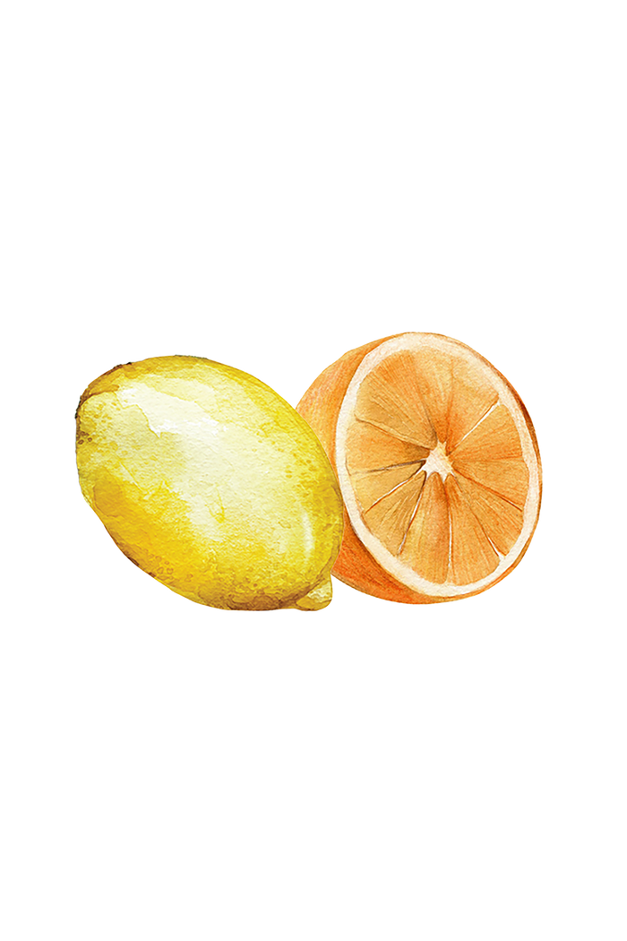 Rustic Strength - Botanical image of a lemon and an orange.