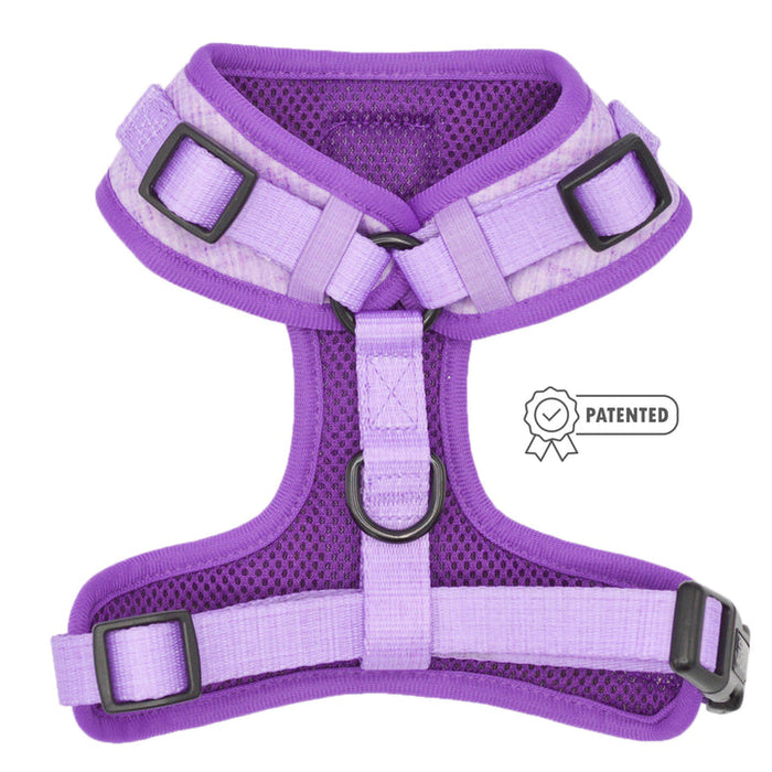 Lilac aurora harness