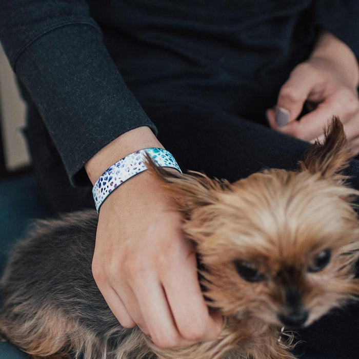 Look Within-Sold Out - Singles-ZOX - This item is sold out and will not be restocked.