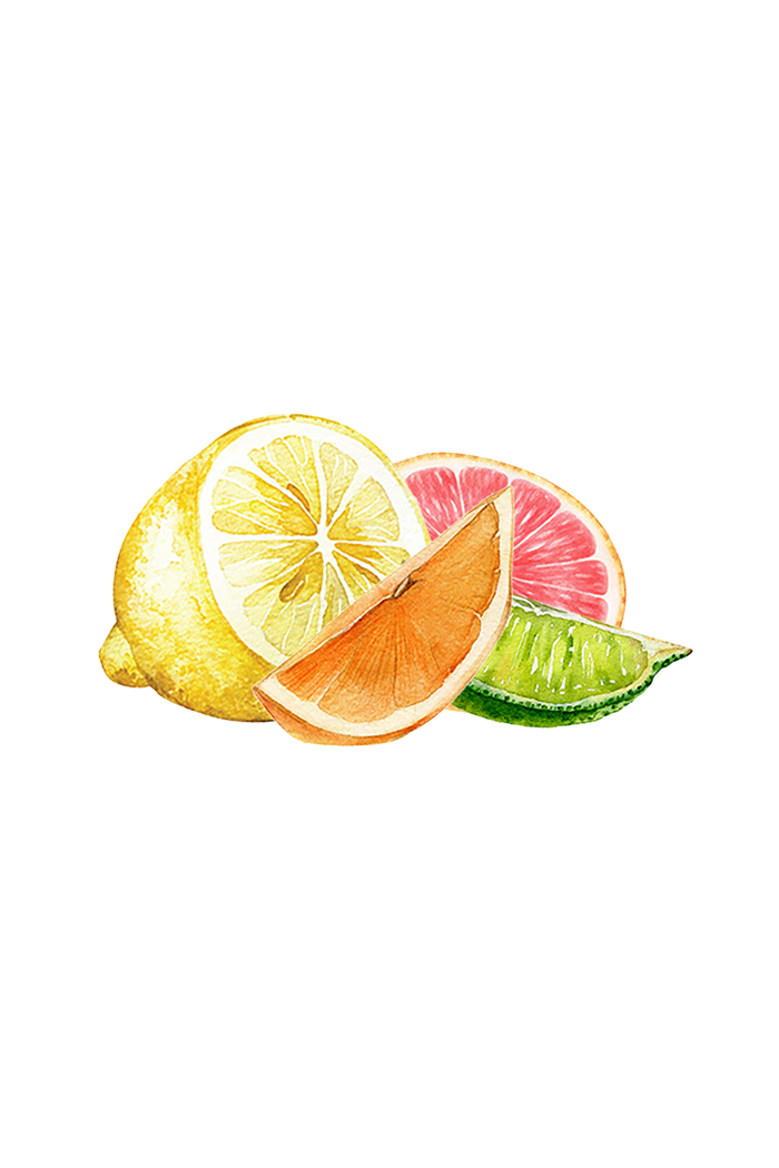 Rustic Strength - botanical image of cut citrus fruits representing Sunburst Citrus scent
