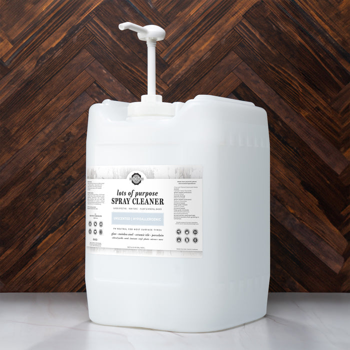 5 Gallon Eco Jug with Pump