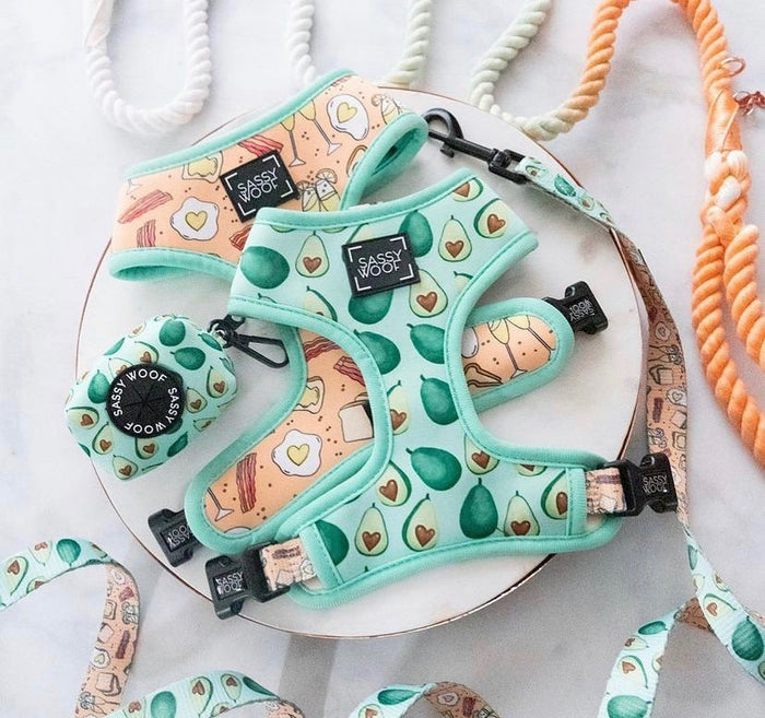 Love actually reversible harness