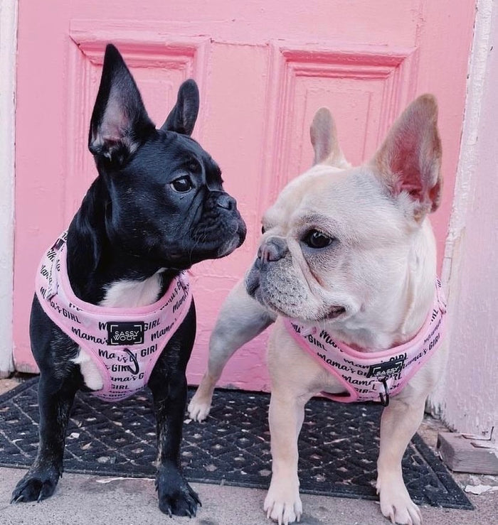 Love actually reversible harness