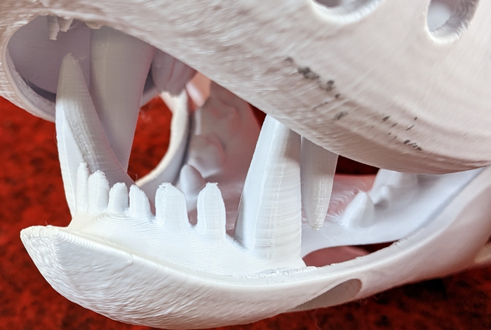 Medium Bear Realistic Style Jawset