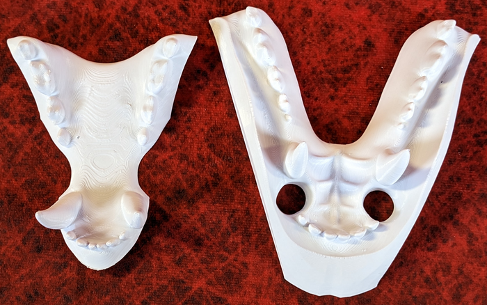 Medium Bear Realistic Style Jawset