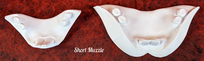 Medium Bunny Realistic Style Jawset