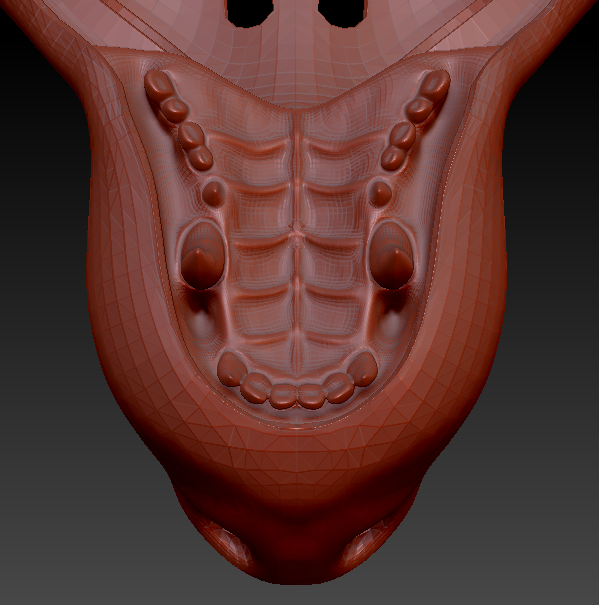 Medium Carnivore Toony Style Jawset