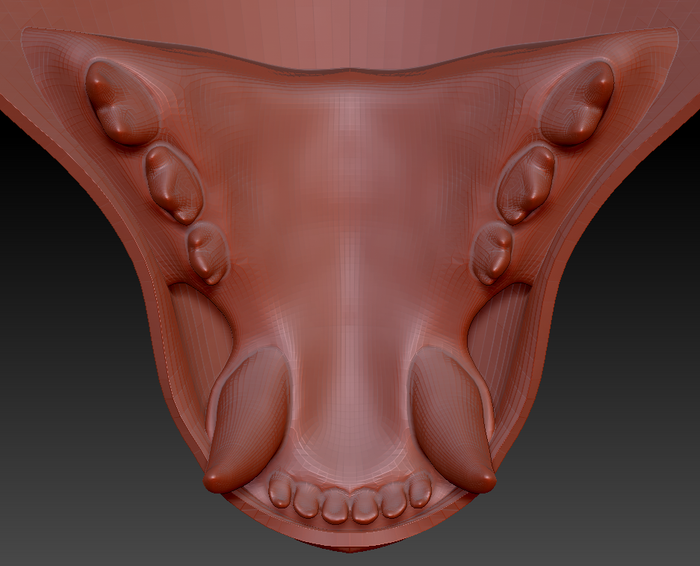 Medium Feline Realistic Style Jawset