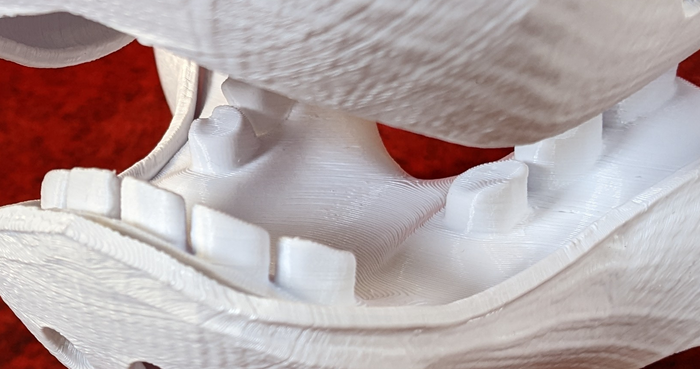 Medium Horse Jawset Realistic Style 1