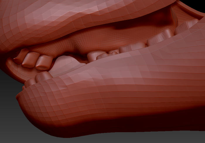 Medium Horse Jawset Realistic Style 1