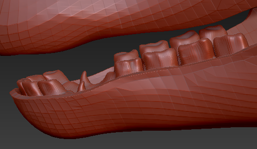 Medium Horse Jawset Realistic Style 2