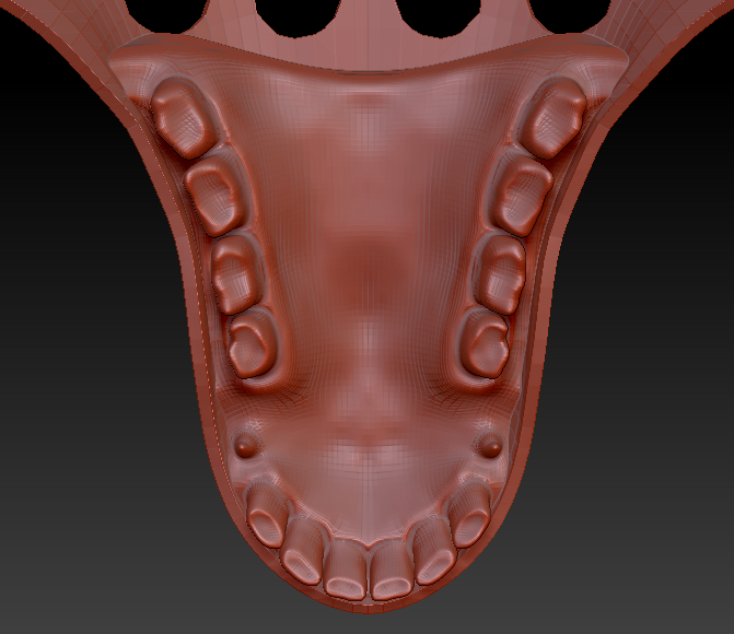 Medium Horse Jawset Realistic Style 2