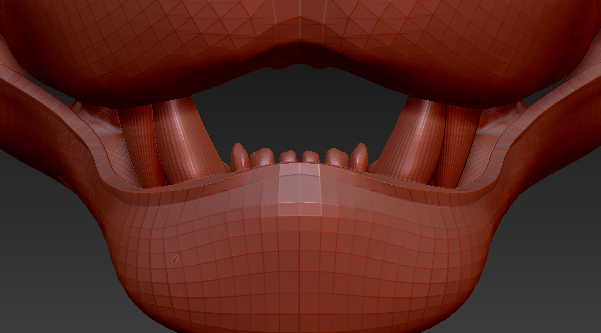 Medium Hyena Realistic Style Jawset