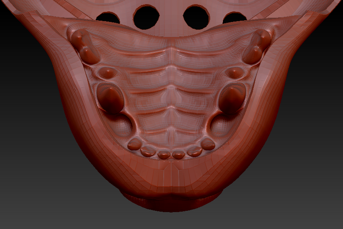 Medium Hyena Realistic Style Jawset