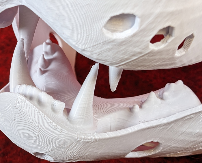 Medium Omnivore Realistic Style Jawset