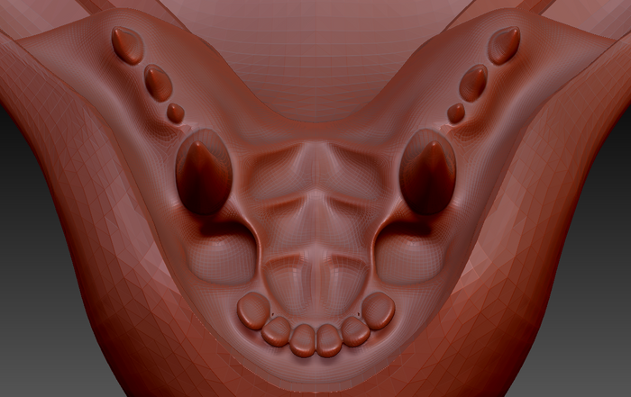 Medium Omnivore Realistic Style Jawset