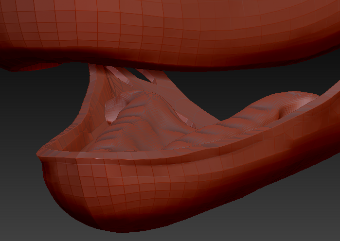 Medium Raptor Palate