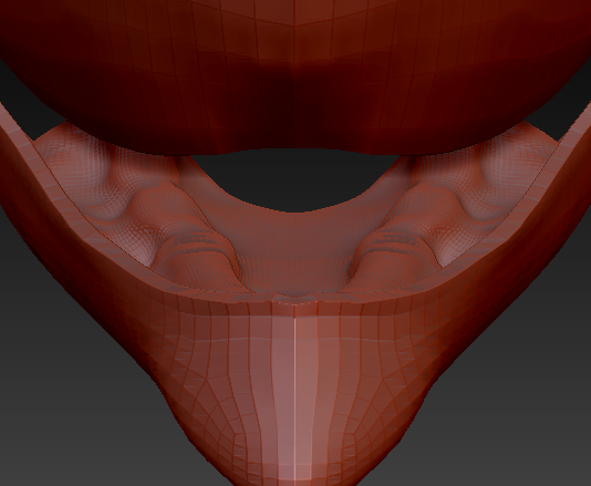 Medium Sergal Palate