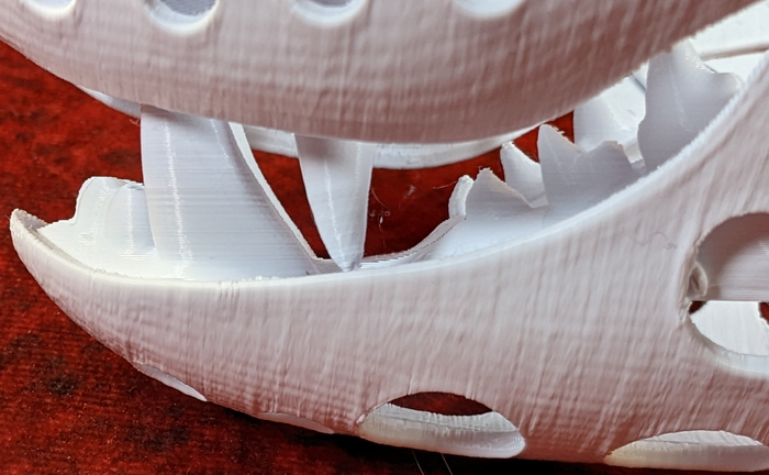 Medium Skunk Realistic Style Jawset
