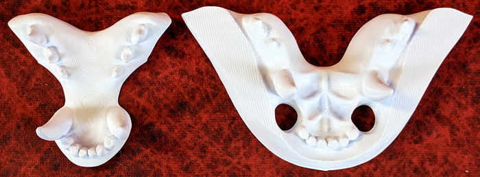 Medium Skunk Realistic Style Jawset