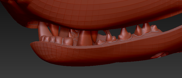 Medium Skunk Realistic Style Jawset