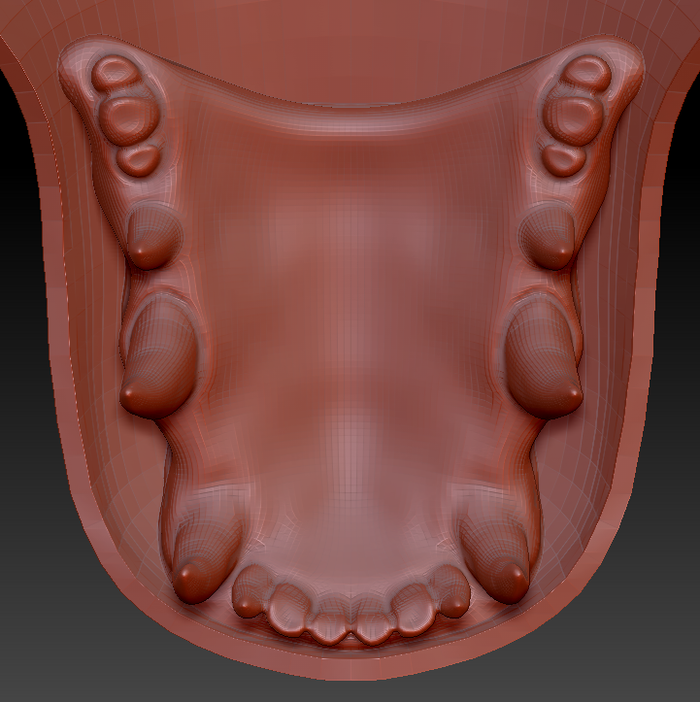 Medium Vernid Toony Style Jawset