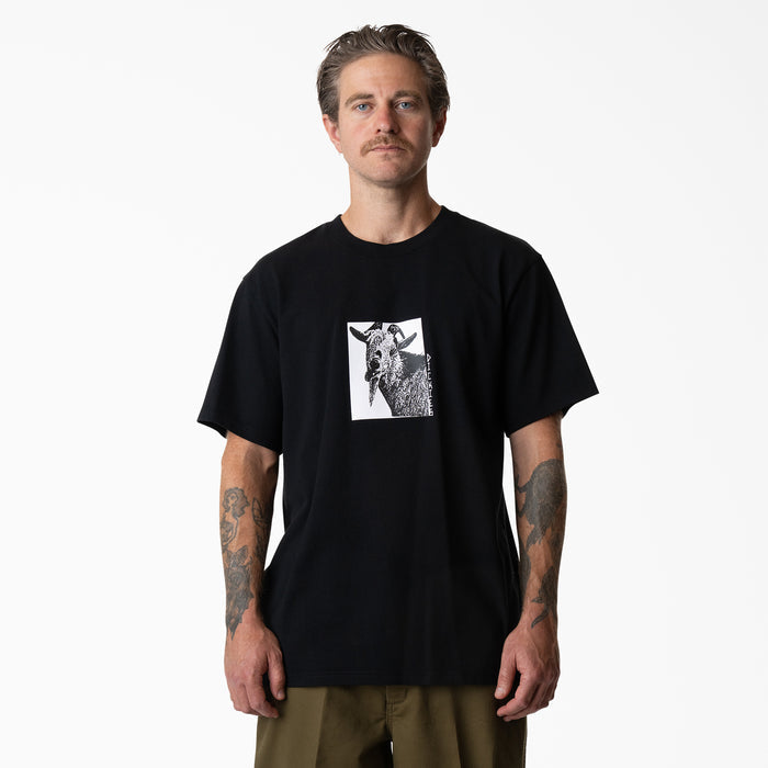 DK0A8672BLK-FR