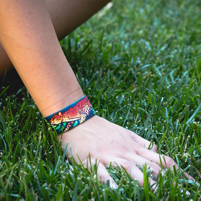 Nightfall-Sold Out-ZOX - This item is sold out and will not be restocked.