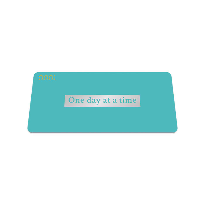 One Day at a Time Metlet