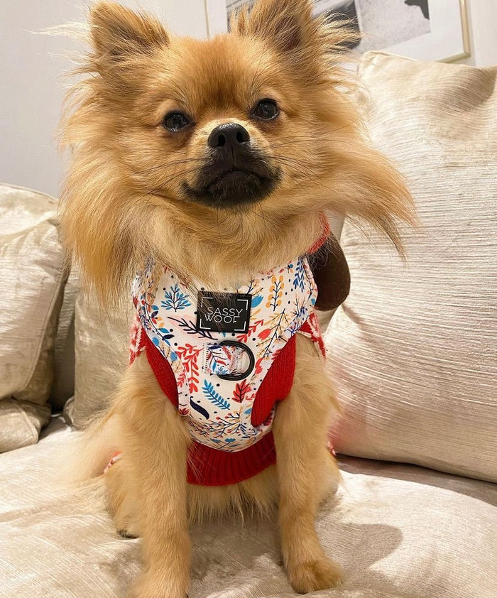 Pawfect Petals Harness
