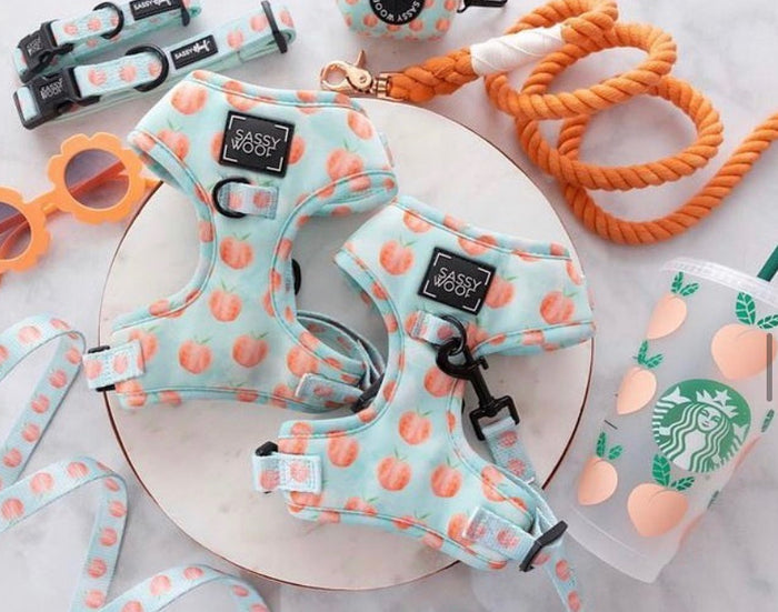 Peach please Harness