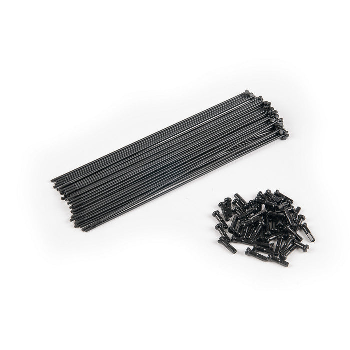 PG (Plain Gauge) Spokes