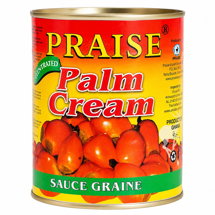 Praise Palm Cream 800g – Single Unit (Inventory Stock)