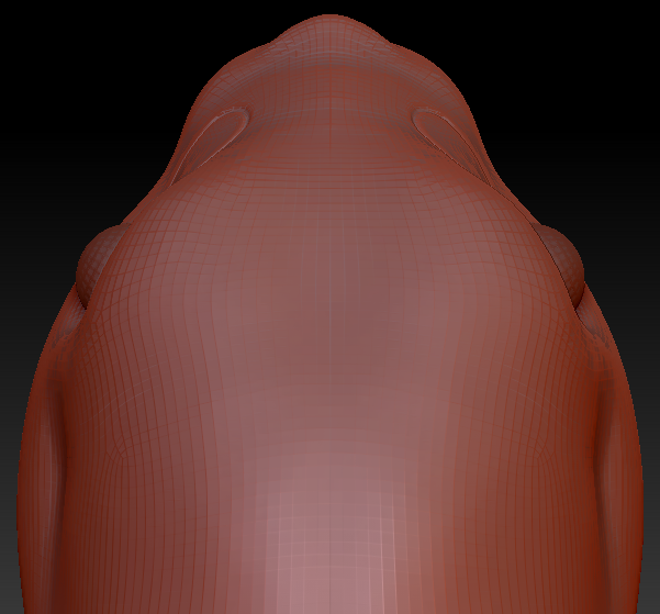 Realistic Bunny Head Base
