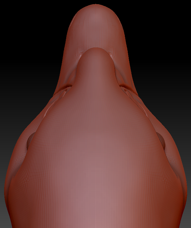 Realistic Swan Head Base