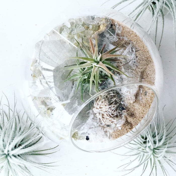 Salt Terrarium