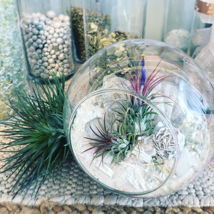 Salt Terrarium