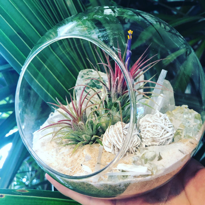 Salt Terrarium
