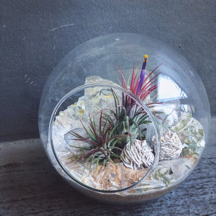 Salt Terrarium