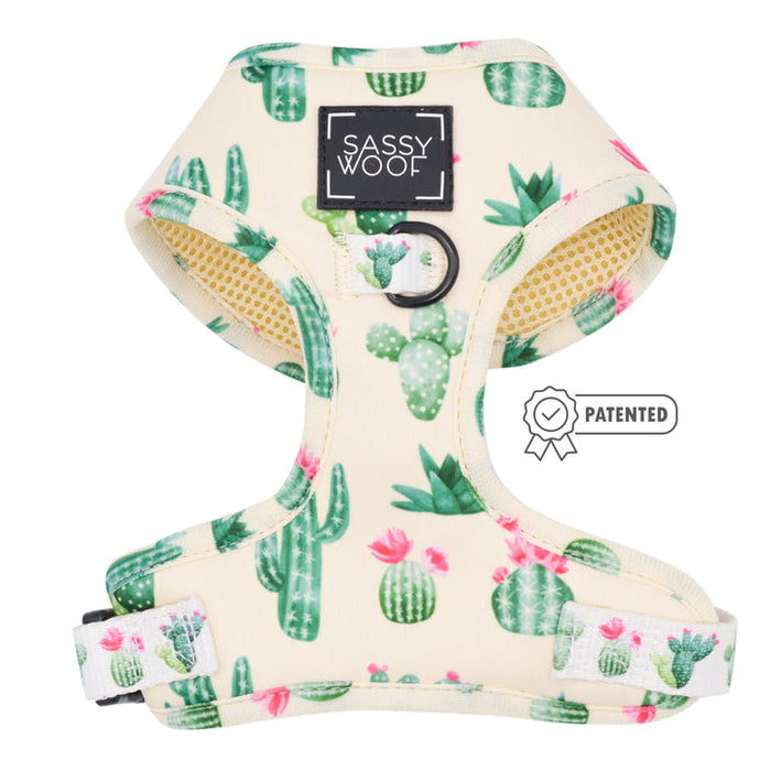 sass on point harness