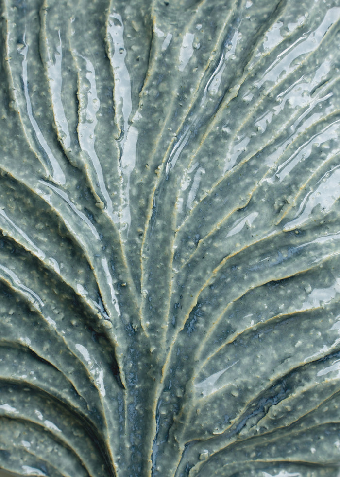 Seaweed No. 02