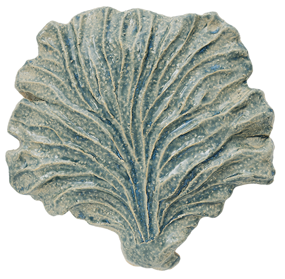 Seaweed No. 02