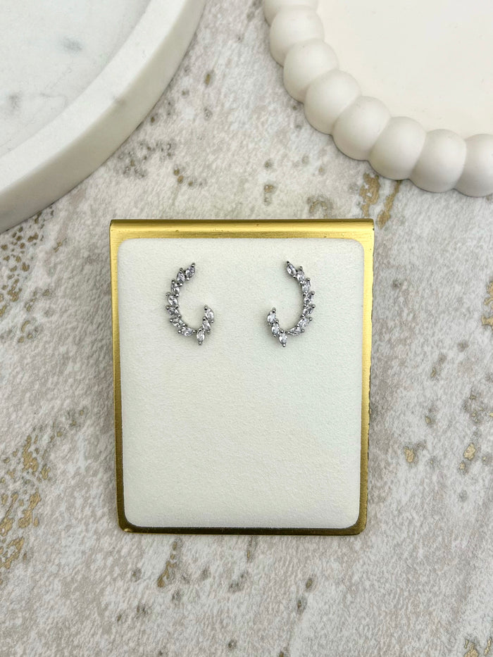 Silver Hook Earrings