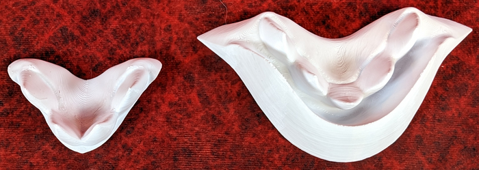 Small Avali Jawset