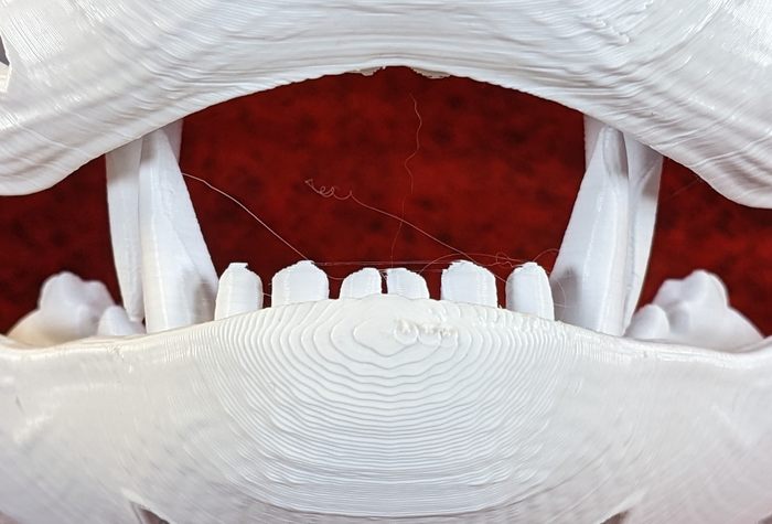 Small Bear Realistic Style Jawset