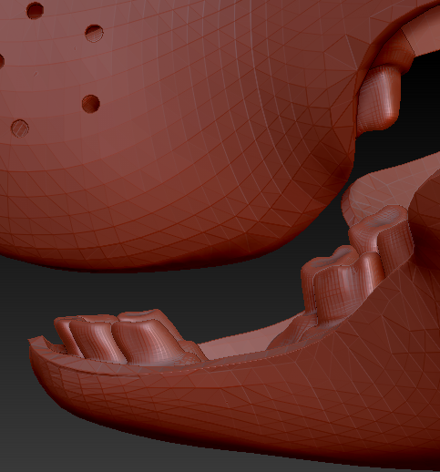 Small Horse Realistic Jawset Style 1