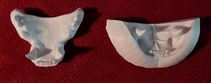 Small Jawset Top and Bottom Upcharge